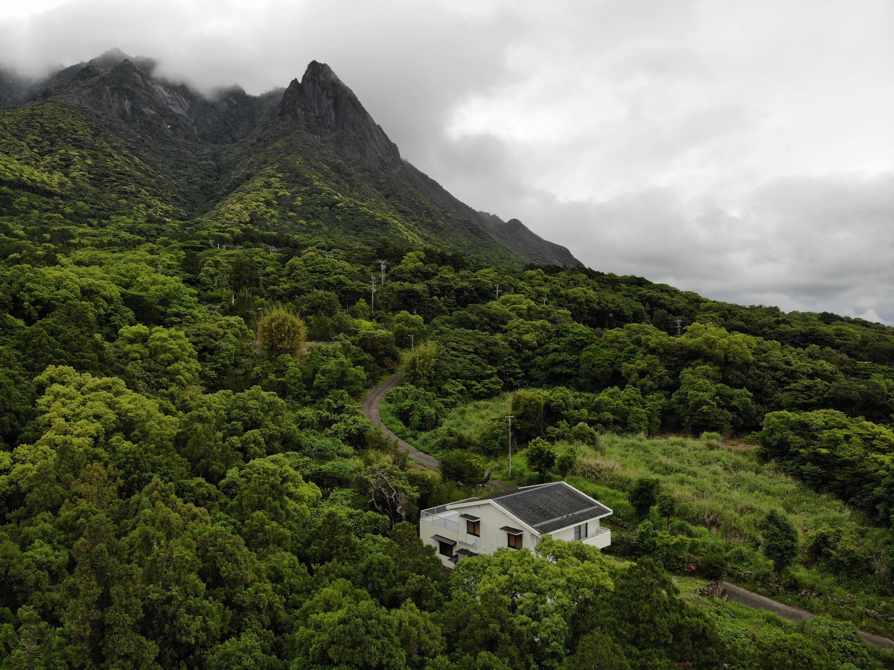 KODOU YAKUSHIMA ONOAIDA