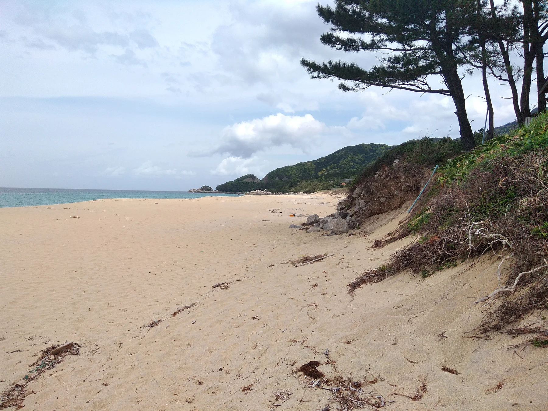 KODOU YAKUSHIMA NAGATA